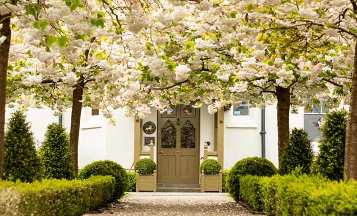 Hotel entrance pathway with trees